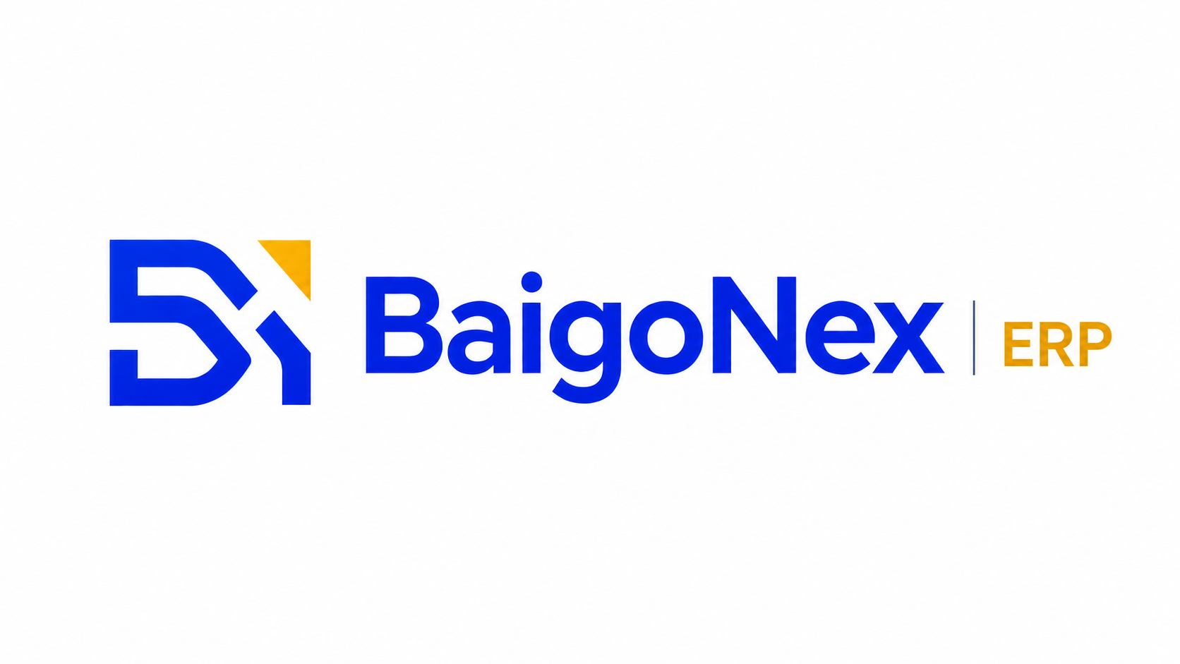 BaigoNex ERP logo
